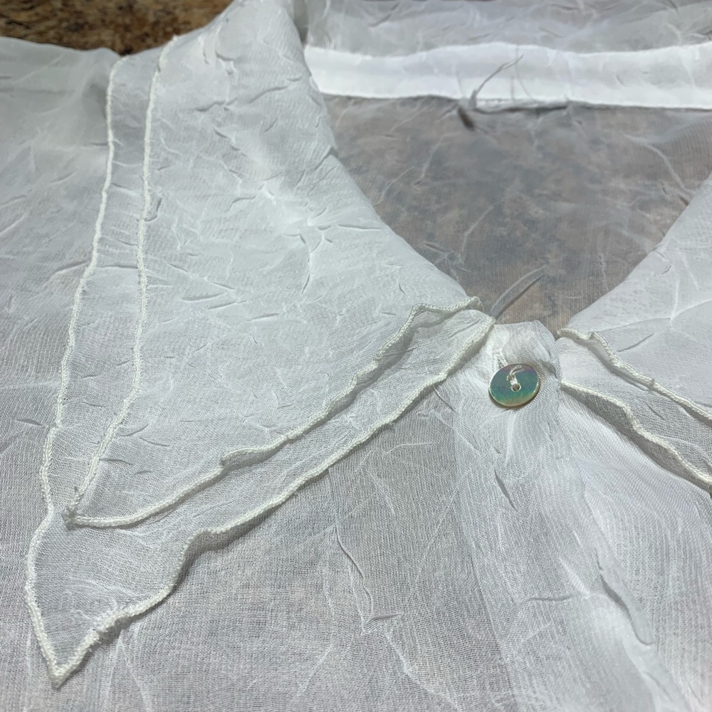 Very Sheer Button Front Plus Size Blouse - image 3